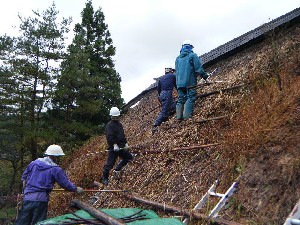 写真:活動の様子14