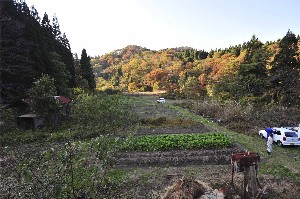 写真:活動の様子20