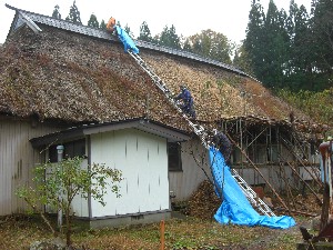 写真:活動の様子26