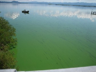 写真：小深見川河口（９月２日）