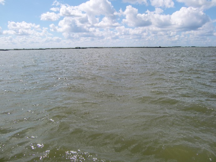 写真：調整池湖心（９月９日）アオコレベル１の発生
