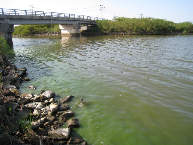 写真：小深見川河口（９月１８日）