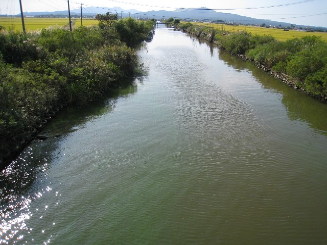 写真：小深見川河口（９月１８日）上流側の状況