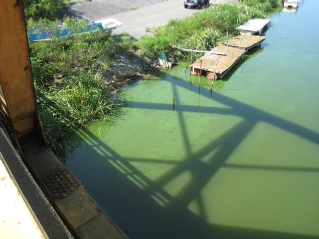 写真：馬踏川河口（９月１８日）