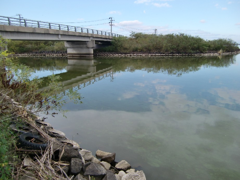 写真：小深見川河口（９月３０日）