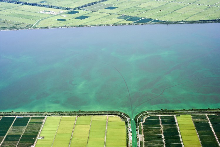 写真：航空写真（９月２日）調整池西部調整池湖心