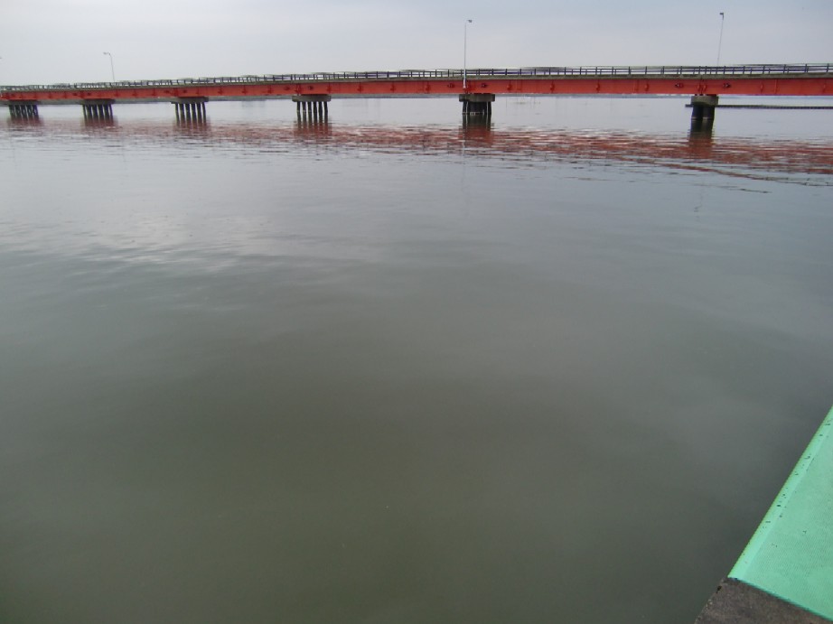写真：大潟橋（漁協前）（９月２８日）
