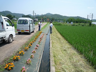 画像：住宅地を過ぎた後の用水路