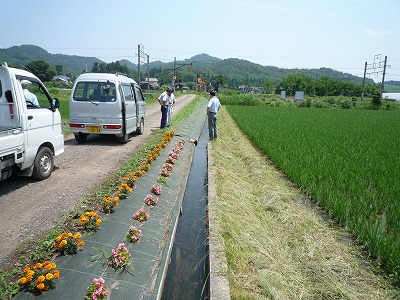 画像：住宅地を過ぎた後の用水路