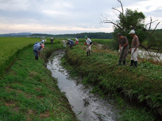 写真：草刈り３