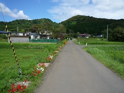 画像：花の道