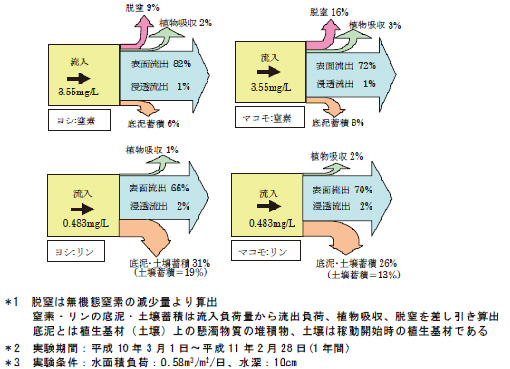 画像：ヨシの栄養塩の負荷量収支図