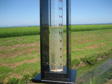 画像：水が透視度計の目盛りで12cm弱まで残っている様子