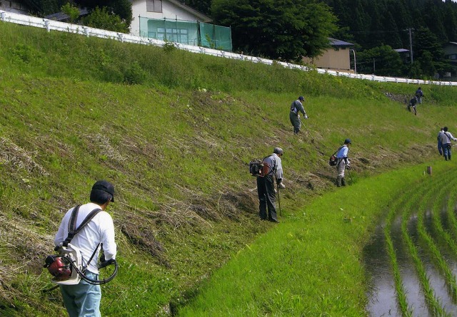 写真：抑草シートの張り付け作業2