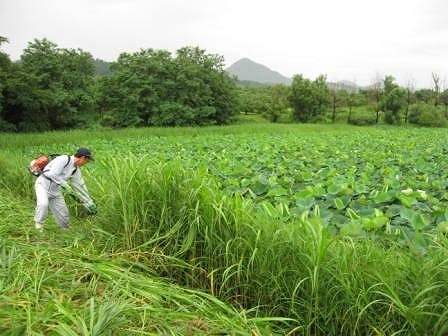 写真：ため池の維持管理2