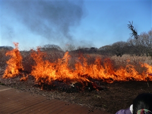 画像：燃え上がる炎