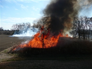 画像：炎と黒煙