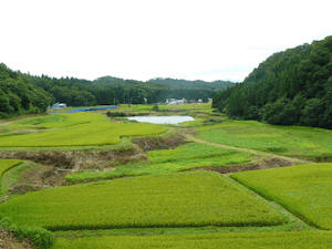 写真：塚須沢集落風景2