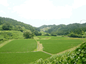 写真：塚須沢集落風景5