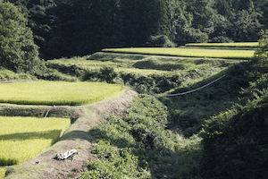 写真：塚須沢集落風景6