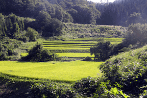 写真：塚須沢集落風景7