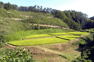 写真：塚須沢集落風景8