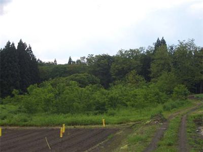 画像:耕作放棄の状況