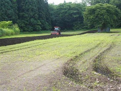 画像:施肥と播種