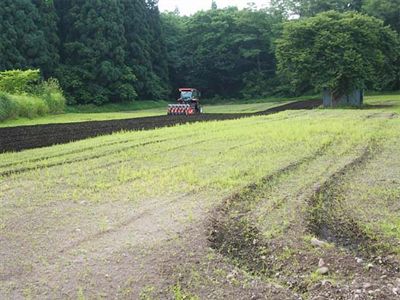 画像：施肥と播種