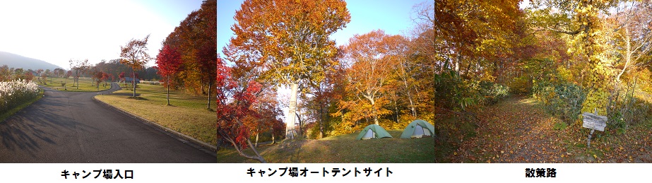 写真：キャンプ場