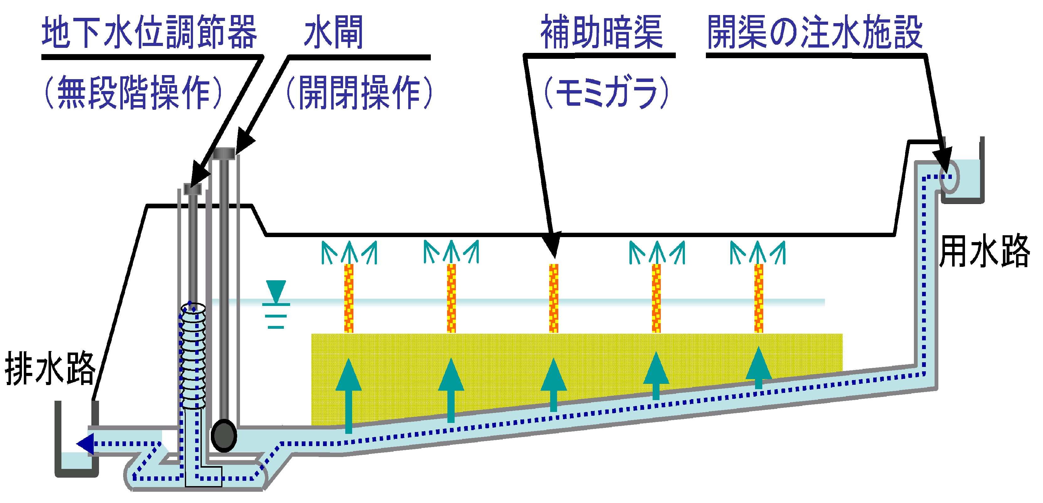 図：地下灌漑の仕組み