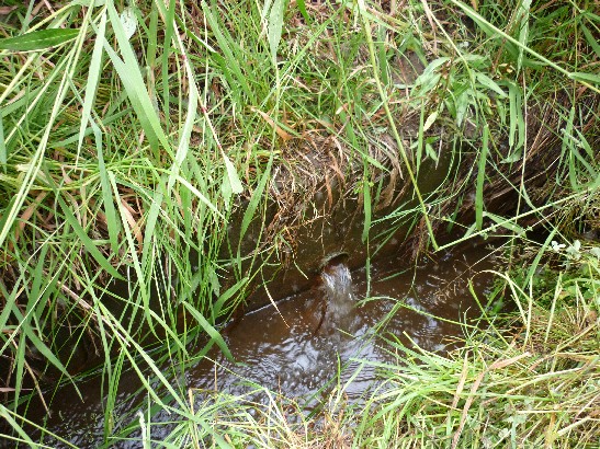 画像：注水後 管から水が勢いよく出ている