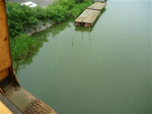写真：馬踏川河口（７月５日）。レベル２の発生。