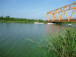 写真：馬踏川河口（８月２０日）