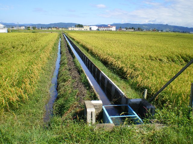 画像：補修された水路