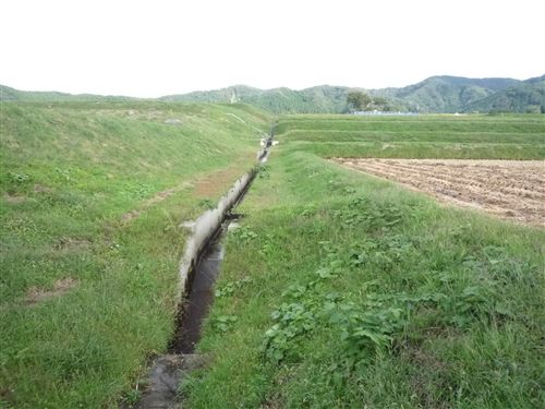 画像:排水路の法面