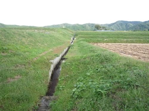 画像：排水路の法面