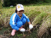 画像：子供達の笑顔5