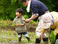 画像：子供達の笑顔1