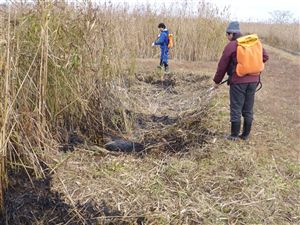 画像：念入りな散水の様子2