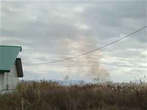 画像：風下側から火入れの煙を見たところ