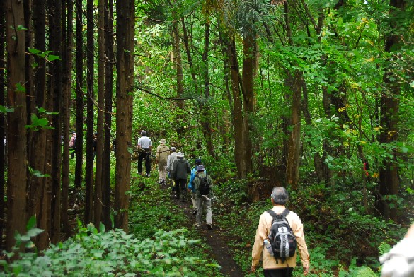 写真：矢立峠  