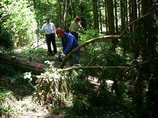 写真：遊歩道等の整備１