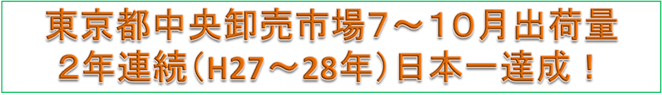 H27～28出荷量日本一