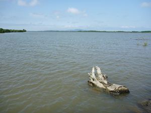 画像 : 馬場目川河口の写真