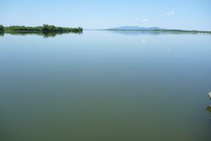 画像 : 馬場目川河口の写真