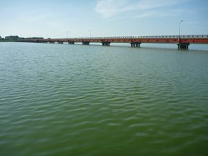 画像 : ７月２１日 大潟橋（漁協前）