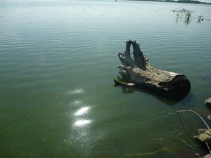 画像 : 馬場目川河口の写真