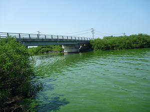 画像 : 小深見川河口の写真