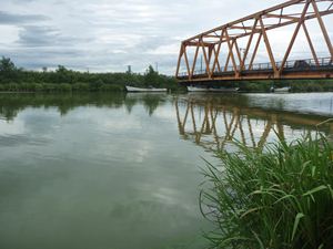 画像 : 馬踏川大橋下流側の写真